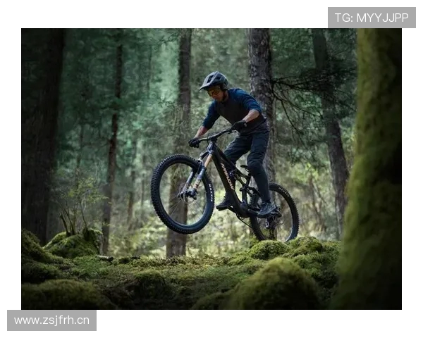 世界越野自行车赛复杂地貌的通过稳定性